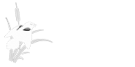 Wye Marsh